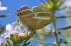 294172 – Photo : Christian Berquer – France (20)